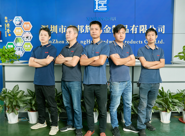  Team Ingegneria 